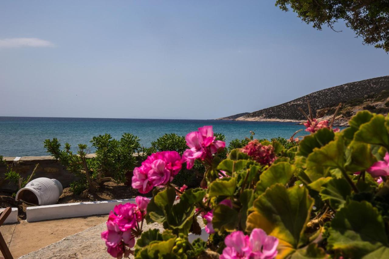Pension Ageliki Sifnos Platis Gialos  Bagian luar foto
